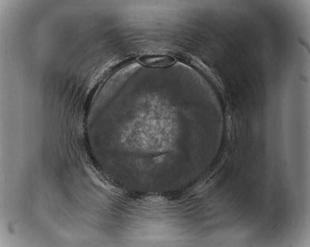 X0000102340203200808221638