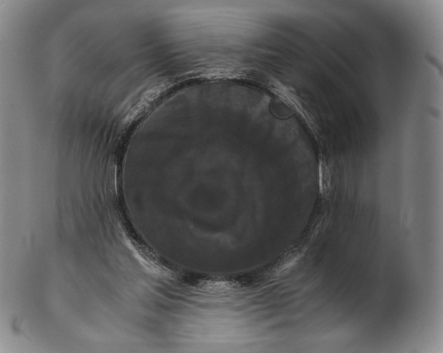 X0000102340205200808221638