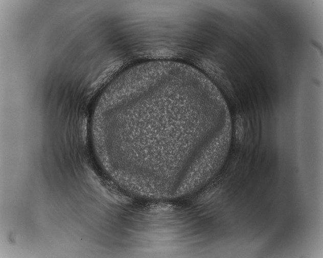 X0000102340206200808221638