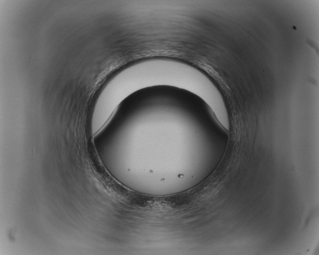 X0000102340207200808221638