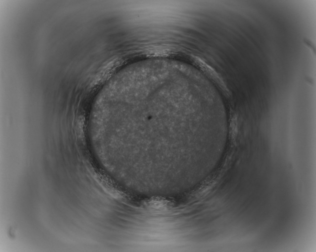 X0000102340209200808221638