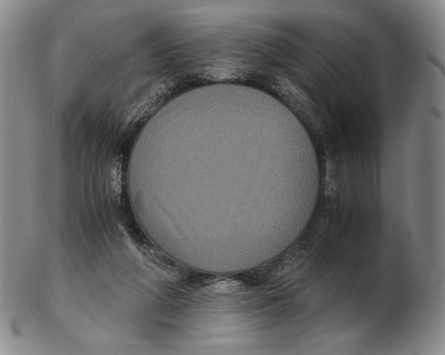 X0000102340210200808221638