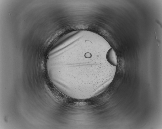 X0000102340212200808221638