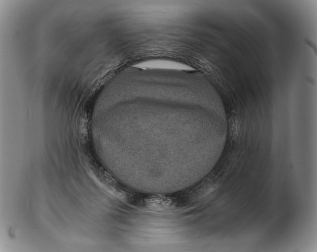 X0000102340215200808221638