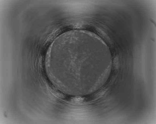 X0000102340217200808221638