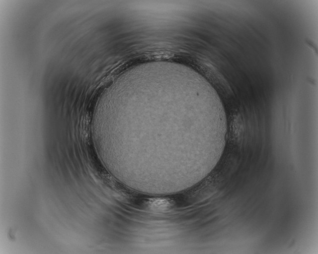 X0000102340218200808221638