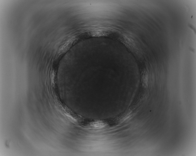 X0000102340219200808221638