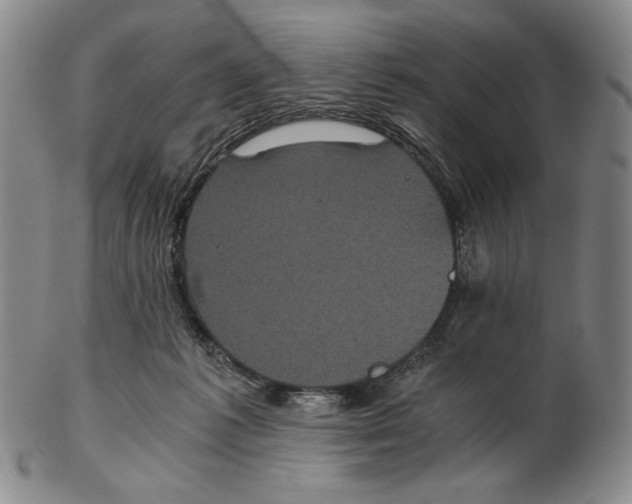 X0000102340221200808221638