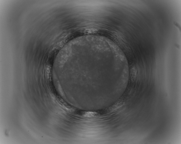 X0000102340222200808221638