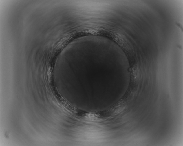 X0000102340223200808221638