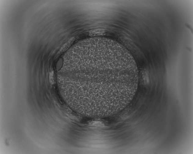 X0000102340224200808221638