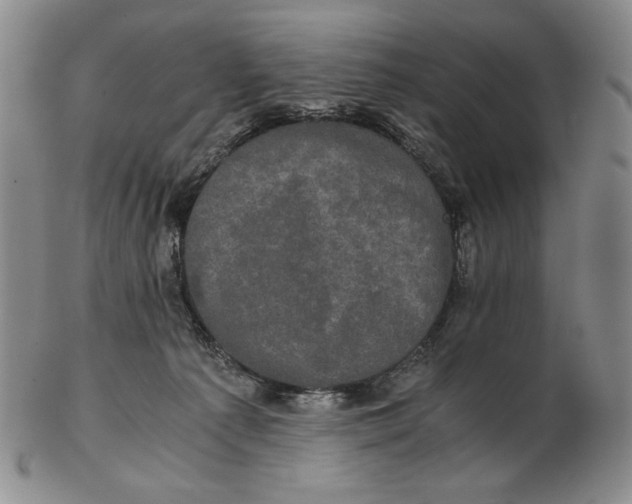 X0000102340225200808221638