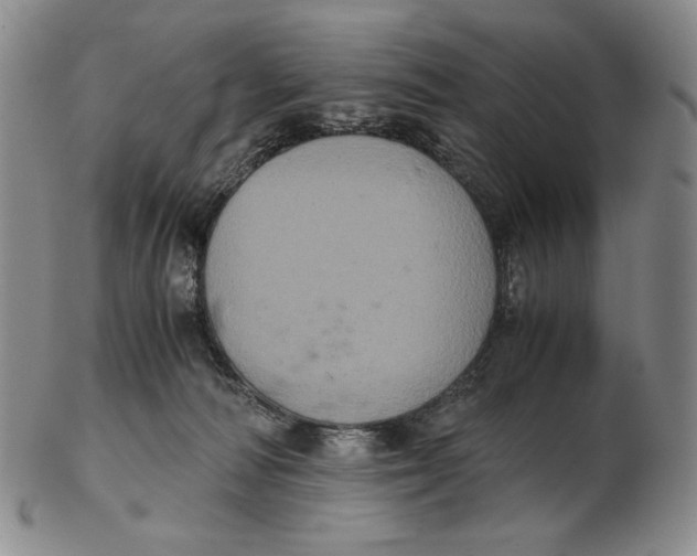 X0000102340226200808221638