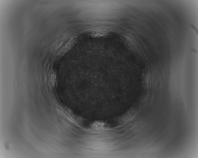 X0000102340227200808221638