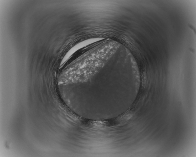 X0000102340229200808221638