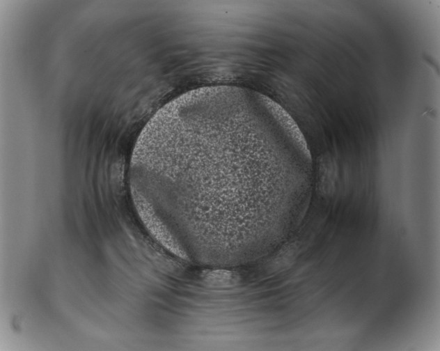 X0000102340230200808221638