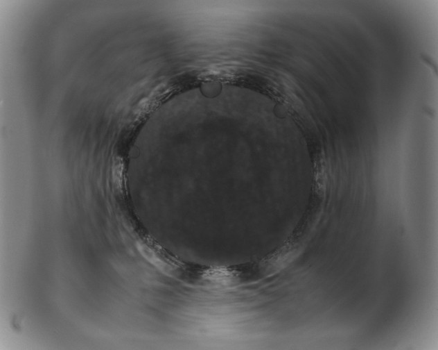 X0000102340231200808221638