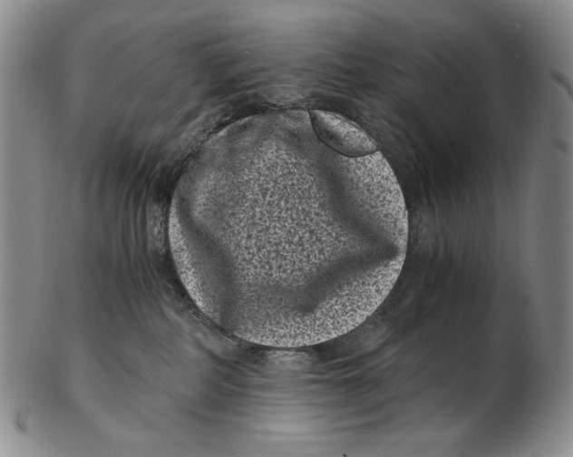 X0000102340234200808221638