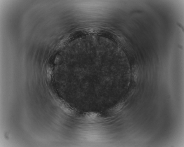 X0000102340235200808221638