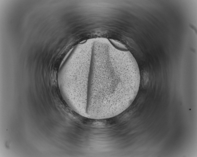 X0000102340236200808221638