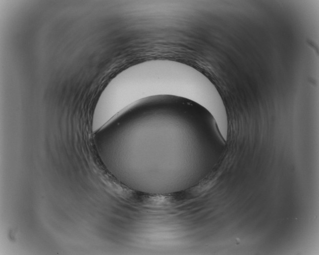 X0000102340237200808221638