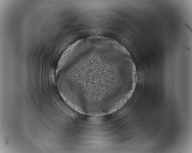 X0000102340238200808221638