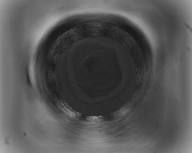 X0000102340239200808221638