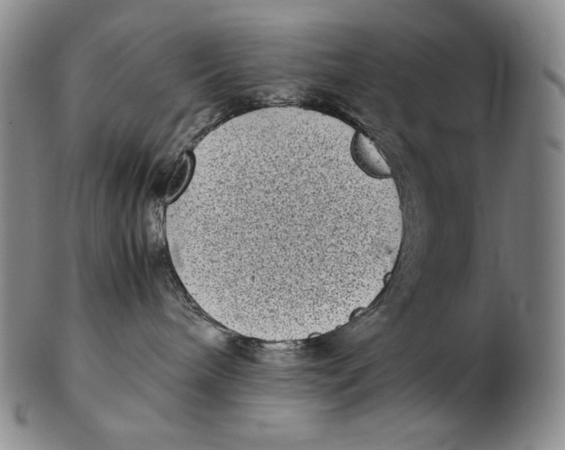 X0000102340240200808221638