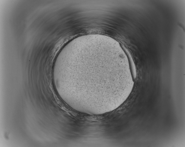 X0000102340241200808221637