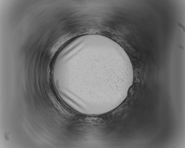 X0000102340242200808221637