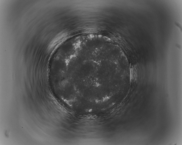 X0000102340243200808221637