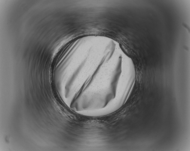 X0000102340244200808221637