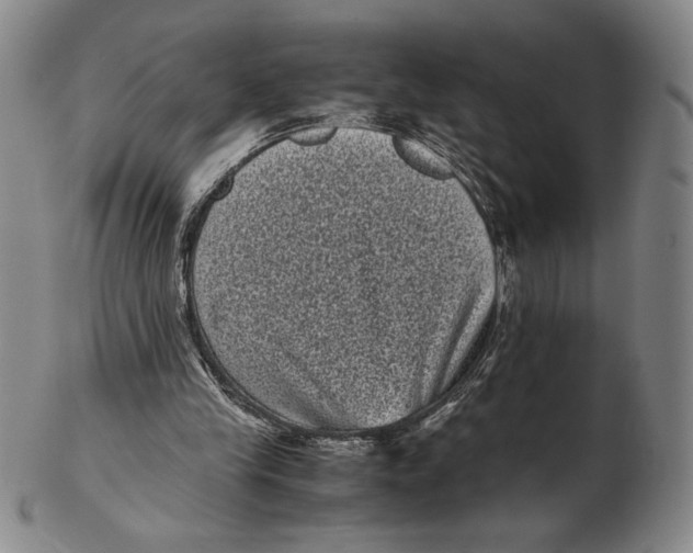 X0000102340245200808221637