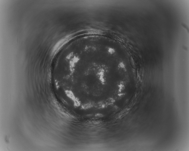 X0000102340247200808221637