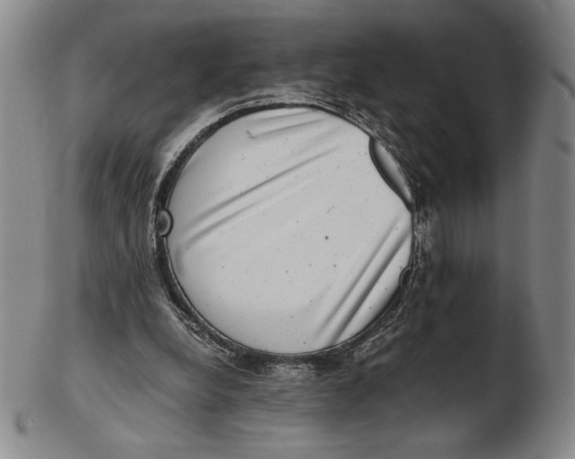 X0000102340248200808221637