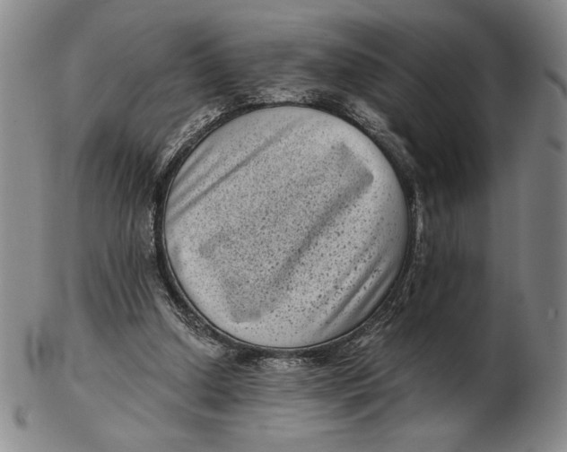 X0000102340250200808221637