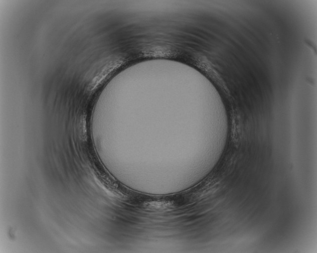 X0000102340251200808221637