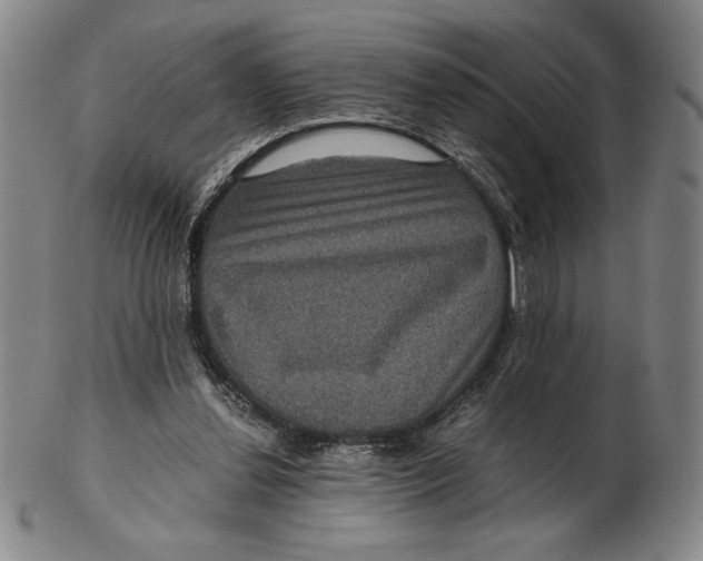 X0000102340252200808221637