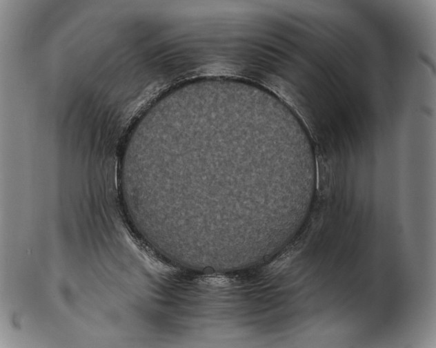 X0000102340253200808221637