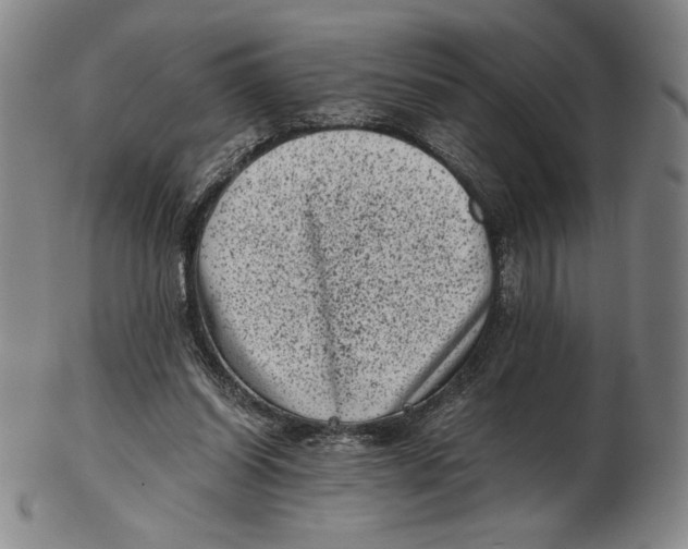 X0000102340254200808221637