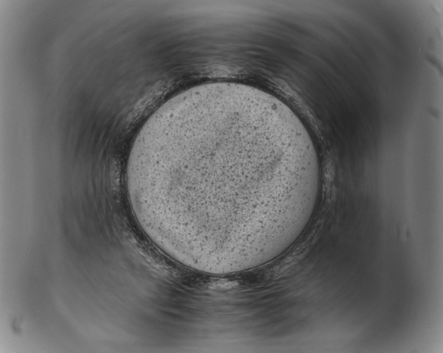 X0000102340257200808221637