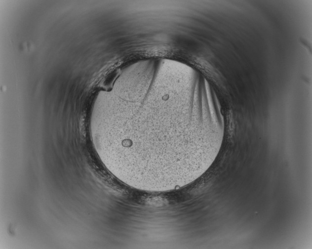 X0000102340258200808221637