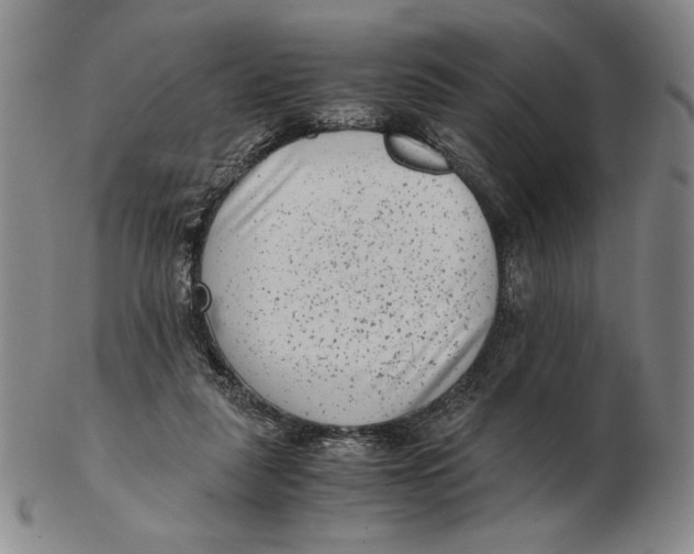 X0000102340259200808221637