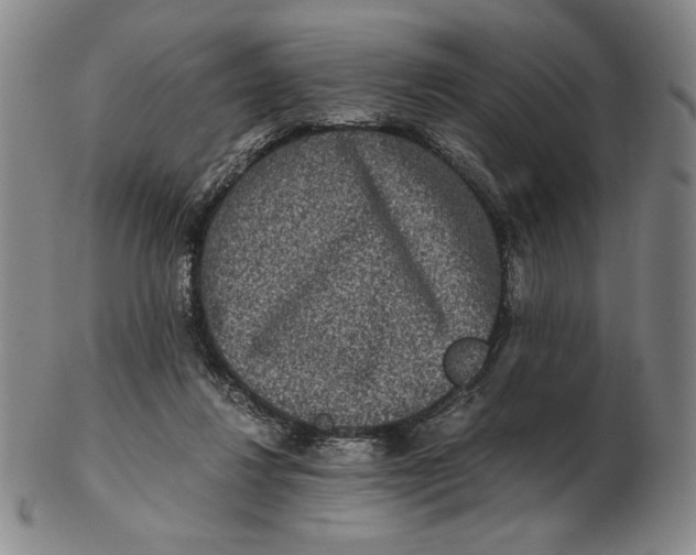 X0000102340260200808221637