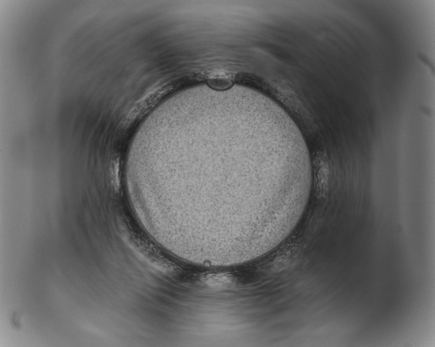 X0000102340262200808221638