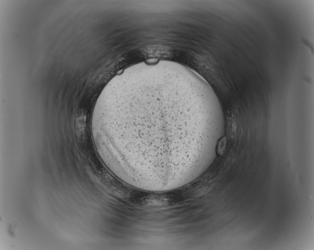 X0000102340263200808221638