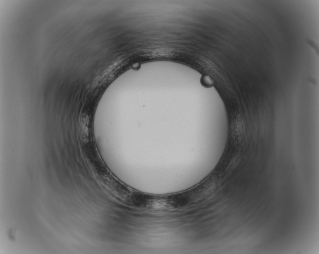 X0000102340264200808221638