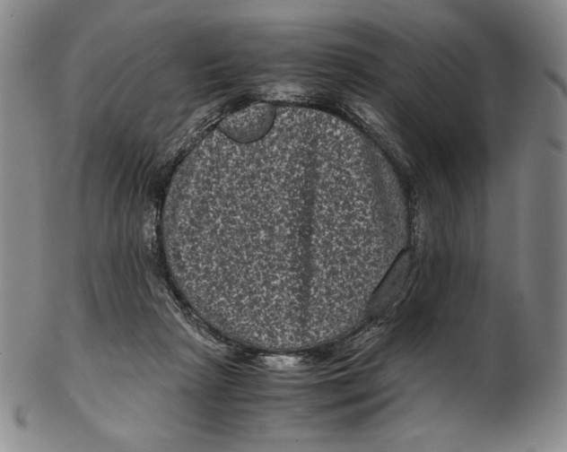 X0000102340265200808221638