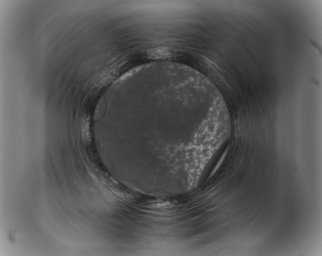 X0000102340267200808221638