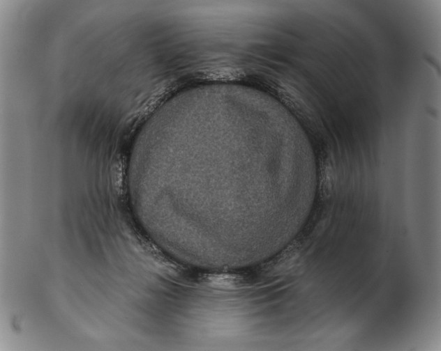 X0000102340268200808221638